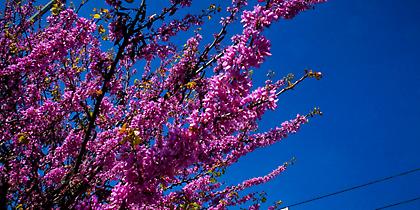 Καιρός για... παραλία: Ανεβαίνει κι άλλο η θερμοκρασία