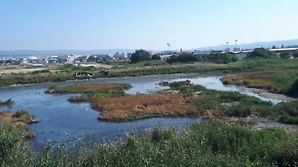 «Σφραγίστηκε» εργοστάσιο λόγω ρύπανσης στο υπέδαφος και στο νερό