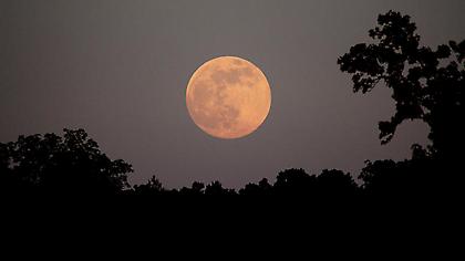 Έρχεται στις 17! Ανήμερα του Αγ. Πνεύματος η «Πανσέληνος της Φράουλας»