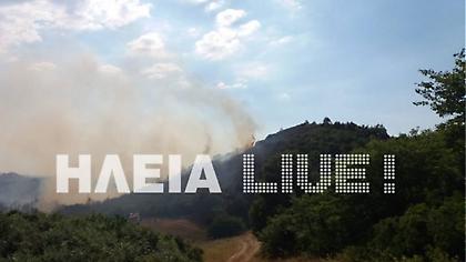 Ηλεία: Ξέσπασε πυρκαγιά στο Μαζαράκι Πηνείας