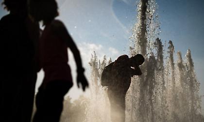 Καύσωνας στην Ευρώπη: Στη Γερμανία βάζουν αντηλιακή λοσιόν σε ζώα λόγω ζέστης