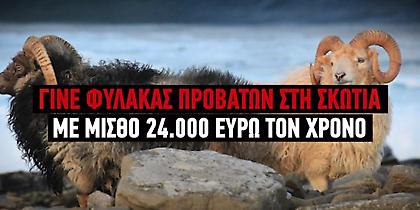 Νησί στη Σκωτία προσφέρει 24.000 ευρώ τον χρόνο για φύλαξη προβάτων