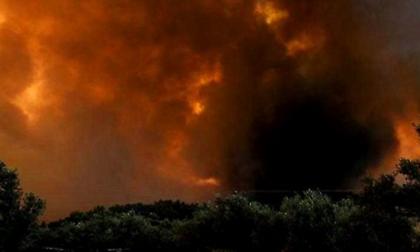 Νέα πύρινα μέτωπα τη νύχτα στην Εύβοια