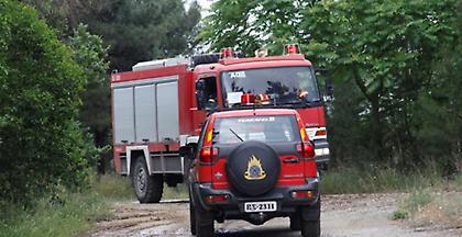 Πυρκαγιά σε δασική έκταση στα Σπάτα