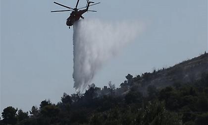 Πυρκαγιές σε εξέλιξη σε Σταμάτα και Μάνη
