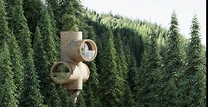 «Bert» :Ένα δεντρόσπιτο εμπνευσμένο από τα δημοφιλή καρτούν Μinions (video)