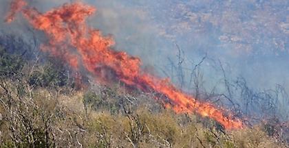 Έδεσσα: Σύλληψη άνδρα για πρόκληση πυρκαγιάς από αμέλεια