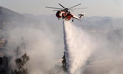 Μεγάλες πυρκαγιές σε Δίβρη και Ιερά Μονή Αγίας Άννης στη Λαμία
