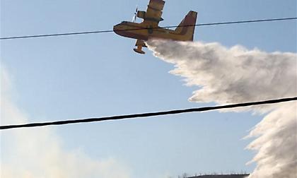 Μεγάλη κινητοποίηση της πυροσβεστικής για πυρκαγιά στη Φυλή