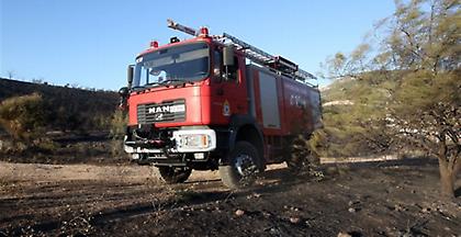 Πυρκαγιά σε πευκοδάσος στο Πευκί Εύβοιας