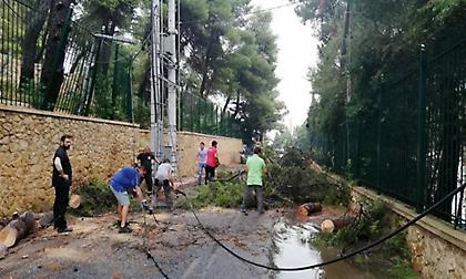 Επτά πρόσφυγες τραυματίες έπειτα από πτώση δέντρου στο hotspot στα Οινόφυτα