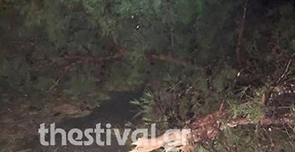 Χαλκιδική: 6 νεκροί, δεκάδες τραυματίες και καταστροφές από την κακοκαιρία