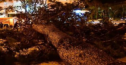 Κολυδάς: «Ίδιο με το φονικό μπουρίνι του '83 αυτό που έπληξε τη Χαλκιδική»