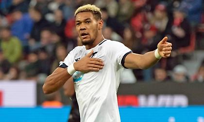 «Βλέπει» Ζοέλιντον η Γουλβς