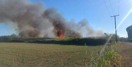 Καλαμάτα: Πυρκαγιά απέναντι από το αεροδρόμιο (video)