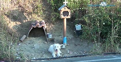 O Χάτσικο Ναυπάκτου: Ζει 1,5 χρόνο δίπλα στο εικόνισμα του αφεντικού (vid)