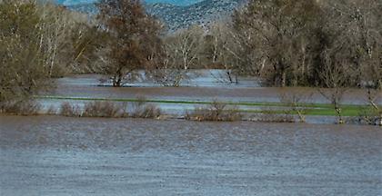 Πτώμα γυναίκας εντοπίστηκε στον Πηνειό