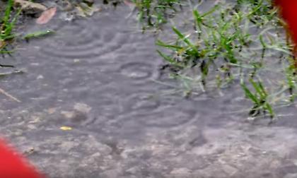 Προπόνηση με καταιγίδα και… ήλιο στην ΑΕΚ (video)