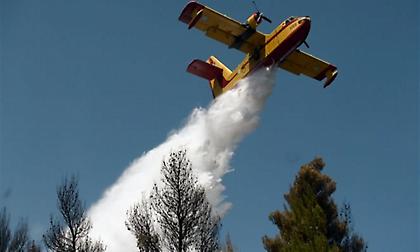 Φωτιά στον δρυμό της Οίτης