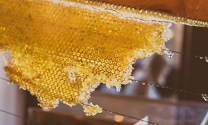 Τροφές που είναι «αθάνατες» στο χρόνο