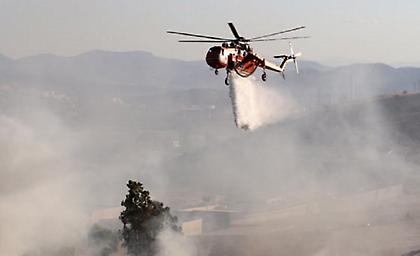 Φωτιά στην Τανάγρα, μεγάλη κινητοποίηση της Πυροσβεστικής