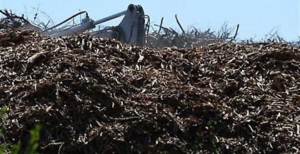 Ένας μήνας θα χρειαστεί για τον καθαρισμό του οικοπέδου στο Μάτι