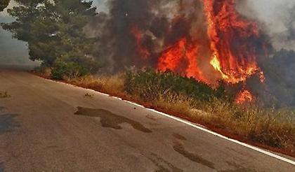 ΓΓΠΠ: Οι περιοχές με πολύ υψηλό κίνδυνο εκδήλωσης φωτιάς για αύριο Δευτέρα