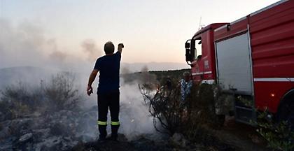 Πυρκαγιά σε δασική έκταση στην βόρεια πλευρά της Ιτέας