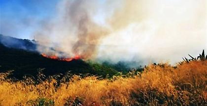 Κέρκυρα: Πυρκαγιά εκδηλώθηκε σε αγροτοδασική περιοχή