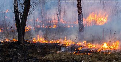 Προειδοποιεί η ΓΓΠΠ για υψηλό κίνδυνο εκδηλωσης πυρκαγιάς αύριο Παρασκευή