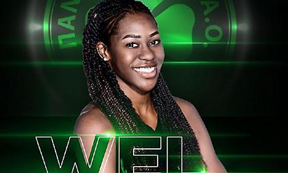 Ανακοίνωσε Πούλινς ο Παναθηναϊκός