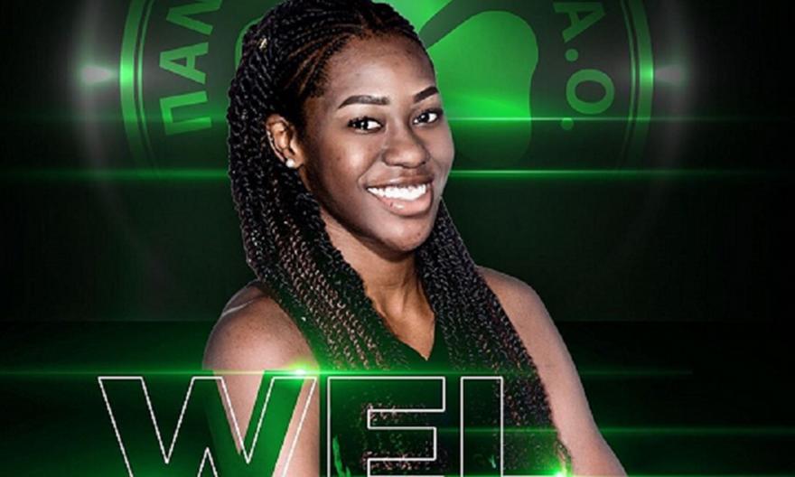 Ανακοίνωσε Πούλινς ο Παναθηναϊκός