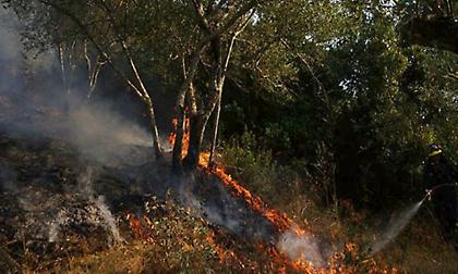Σε εξέλιξη πυρκαγιά κοντά στο αρχαίο κάστρο Κορίνθου
