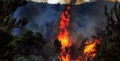 ΓΓΠΠ: Συναγερμός για πολύ υψηλό κίνδυνο εκδήλωσης πυρκαγιάς αύριο Σάββατο