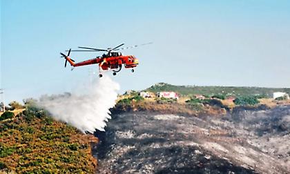 Φωτιά στο Κουτσοπόδι Αργολίδας