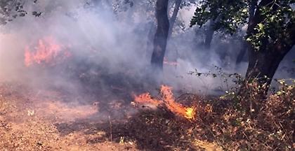 Πολύ υψηλός κίνδυνος φωτιάς σε Σάμο, Ικαρία, Δωδεκάνησα και Λασίθι για τη Δευτέρα