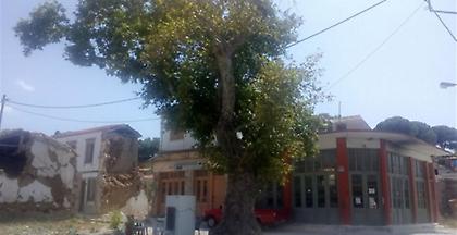 Χωρίο φάντασμα η Βρίσα Λέσβου, υποσχέσεις και γραφειοκρατία (vids+pics)