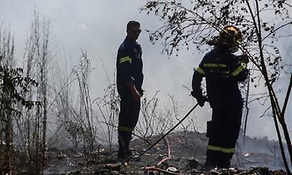 Φωτιά κοντά σε χωριό στην Αχαΐα, μάχη με τις φλόγες και στην Αμφιλοχία