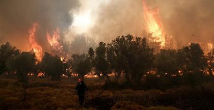 Ελαφόνησος: Κάηκε το 25% του νησιού από τη μεγάλη φωτιά