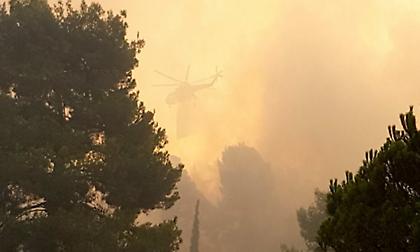 Νέα πυρκαγιά σε γεωργική έκταση στη Μεσσηνία