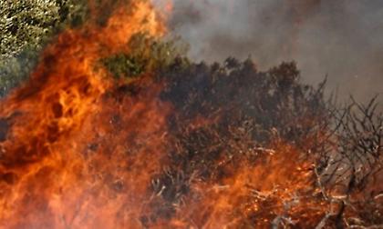 Μέτωπα πυρκαγιάς σε Άρτα και Μεσσηνία