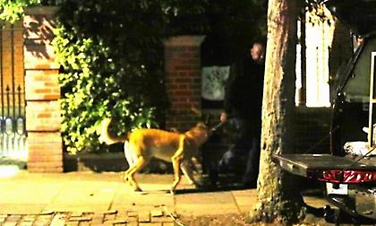 Ασφάλεια με άντρες έξω από το σπίτι του Εζίλ