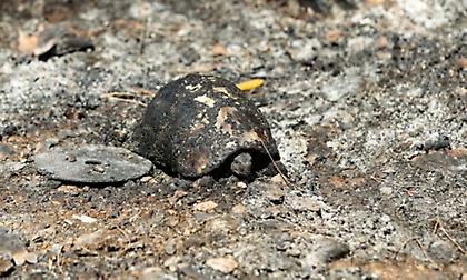 Το σχέδιο της Πυροσβεστικής που απέτρεψε εξάπλωση της φωτιάς στον Υμηττό