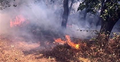 Δεν απειλεί κατοικημένες περιοχές η φωτιά στη Θήβα