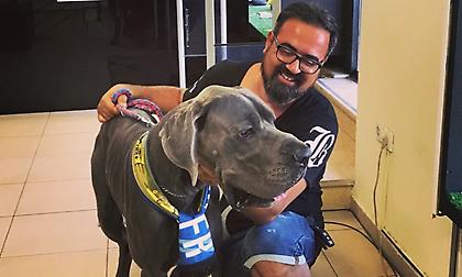 Ένας σκύλος στο πλευρό του Άρη για την ανατροπή (pic)