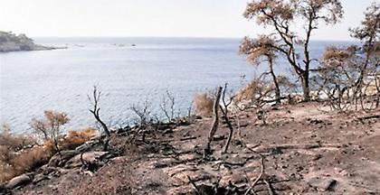 Θάσος: Υπό πλήρη έλεγχο τέθηκε η πυρκαγιά