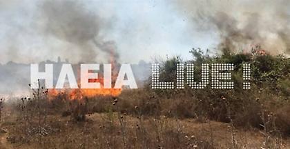 Φωτιά στο Λευκοχώρι Ηλείας