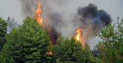 Νέα πυρκαγιά μαίνεται στα Καλάβρυτα