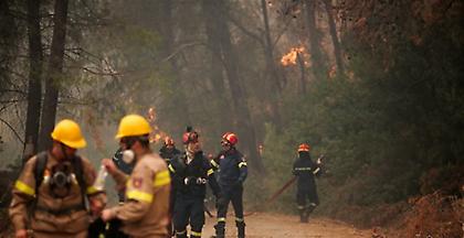 Ολονύχτια μάχη με τις φλόγες στην Εύβοια-Ξεκίνησαν οι ρίψεις νερού