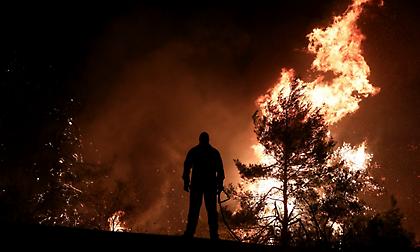 Η πύρινη λαίλαπα της Εύβοιας (pics/video)